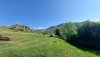 20210510_084546.jpg
