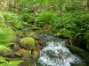 20210626_075111.jpg