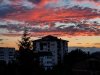 IMG_20210719_201628_776.jpg