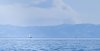 20210808_170725.jpg