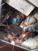 IMG_20210819_181104.jpeg
