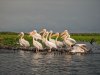 MI11U PXL_20210806_144214154.jpg