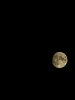 20210919_210841.jpg