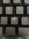 236954437_437503244089757_7097540844240436207_n.jpg
