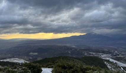 IMG_2190.jpg