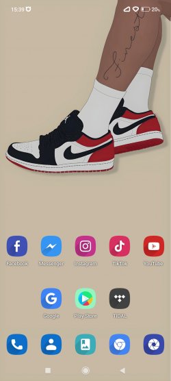 Screenshot_2021-12-24-15-39-46-897_com.teslacoilsw.launcher.jpg