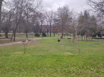 IMG_20211227_133708.jpg