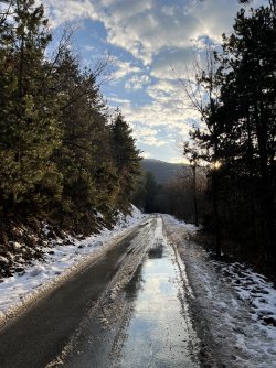 IMG_4367.jpg