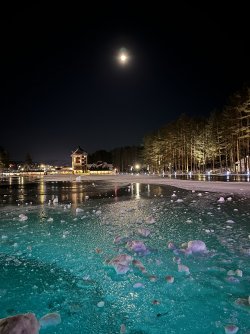 IMG_3626.jpg