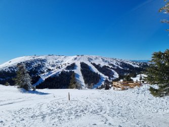 20220210_102000.jpg