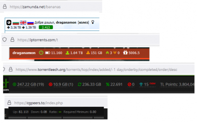 tor.png