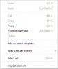 paste as a plain text.jpg