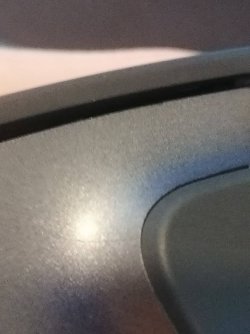 mouse.jpg