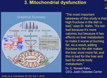 Mitochondrial dysfunction.JPG