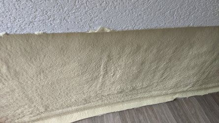 MVIMG_20220318_103244.jpg