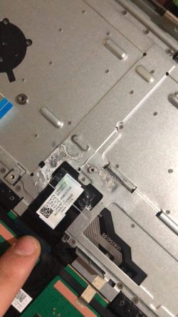 C7B332D8-7219-492E-8EE6-9A988A0CEA1F.jpeg
