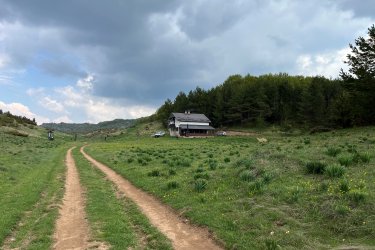 IMG_6486.jpg
