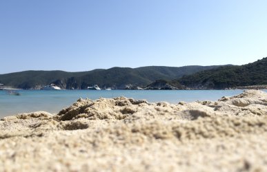 0E577F82-E59D-495E-8110-E519178AB755.jpeg