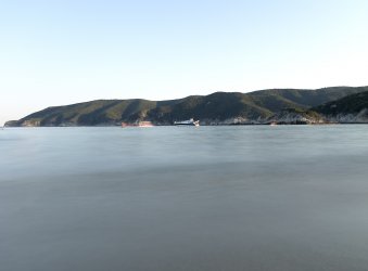 42FA3139-EBDF-45B3-8424-87FF36BB207C.jpeg