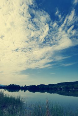 IMG_20220508_083943.jpg