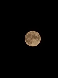 20210822_220043.jpg