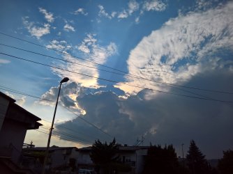 WP_20220810_17_56_35_Pro.jpg