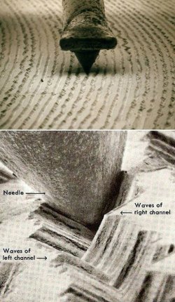 Vinyl.jpg