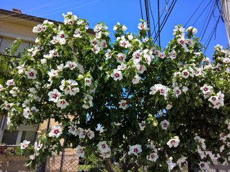 WP_20220715_13_25_18_Pro.jpg