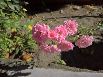 WP_20220912_15_31_31_Pro.jpg