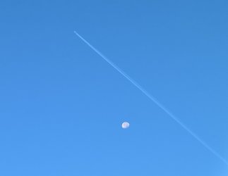 mooncrop.jpg