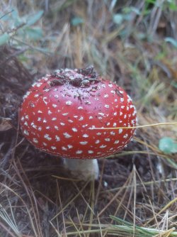 20220924_100950.jpg