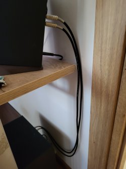 20230202_161058.jpg