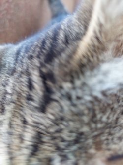 20230326_121359.jpg