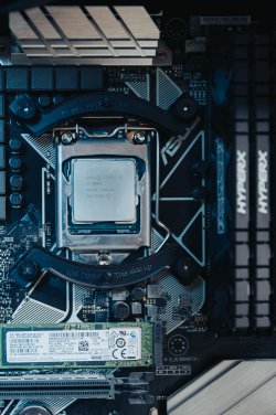 Noctua-6.jpg