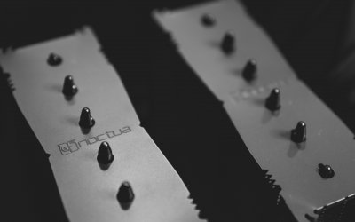 Noctua-8.jpg