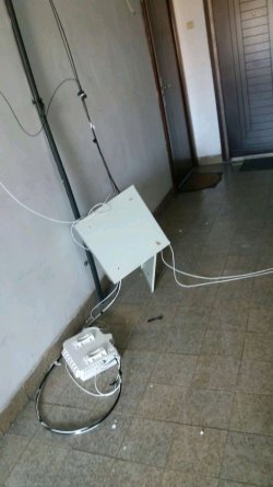 1693467812184.jpg