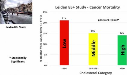 Leiden 85+ Study - Cholesterol and Cancer Mortality.JPG