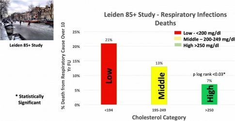 Leiden 85+ Study - Cholesterol and Raspiratory Mortality.JPG