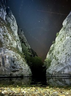 IMG_2640_jpg.jpeg