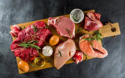carnivore.jpg