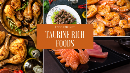 Taurine-Rich-Foods-v2.png