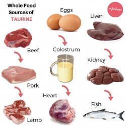 Taurine Rich Foods.jpg