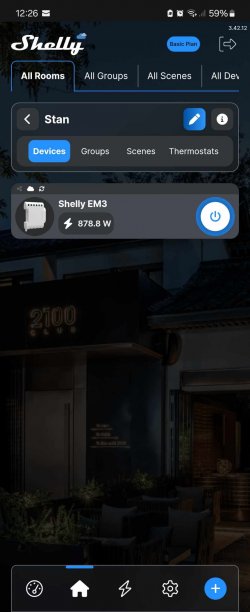 shelly33.jpg