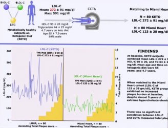 LDL CAC score 2.JPG