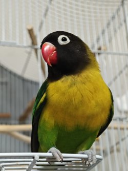 IMG_20240531_191155.jpg