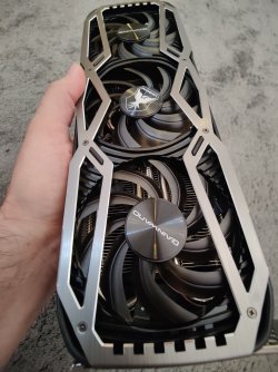 1000033593.jpg