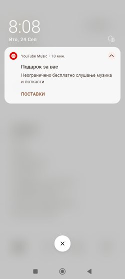1727158137539.jpg