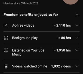 Screenshot_20241213_200135_YouTube.jpg