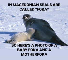 1739998760478.png