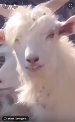 1740687731266.png